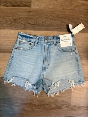 Abercrombie & Fitch Light Blue Distressed Mom Denim Shorts